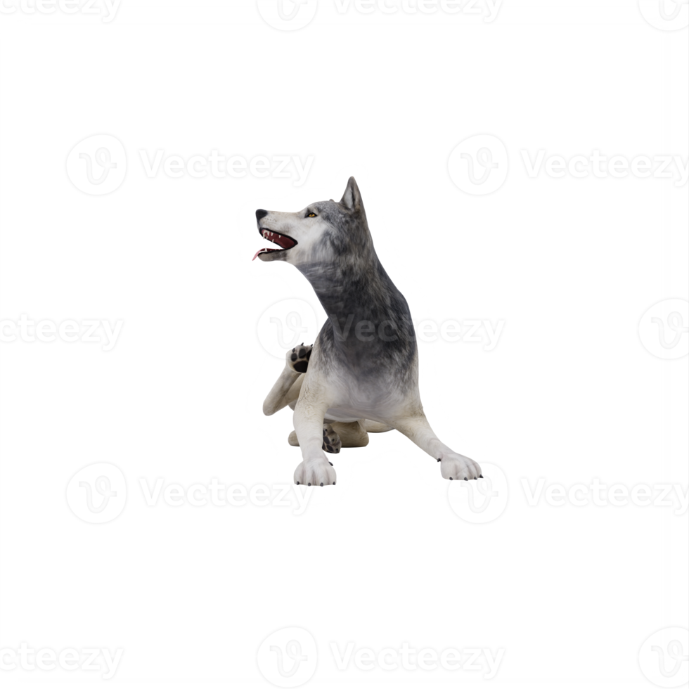 3d wild wolf isolated png