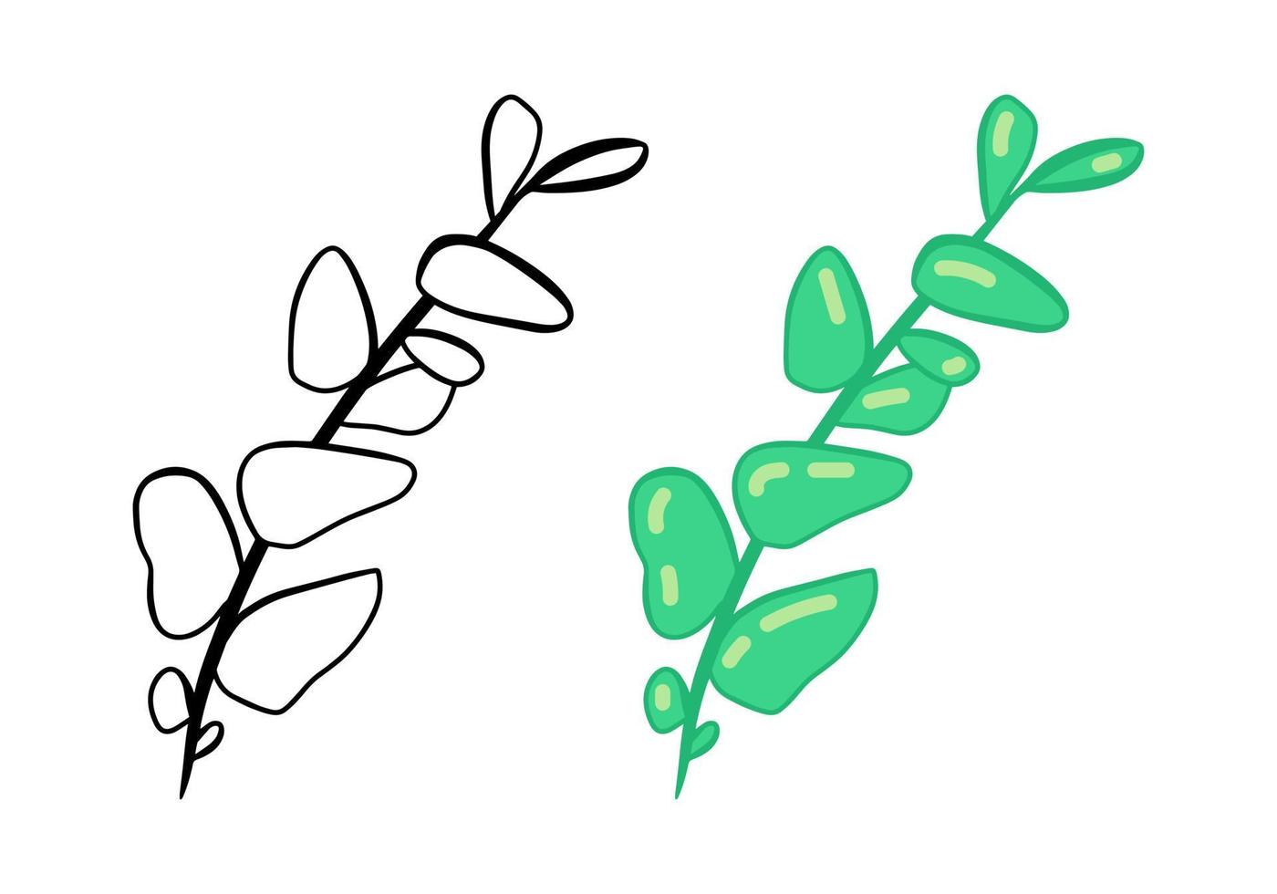Herbal doodle eucalyptus branch icon, simple hand drawn sketch line art style, black and green branch botany set. Beauty elegant logo design element. Graphic isolated symbol drawing. vector