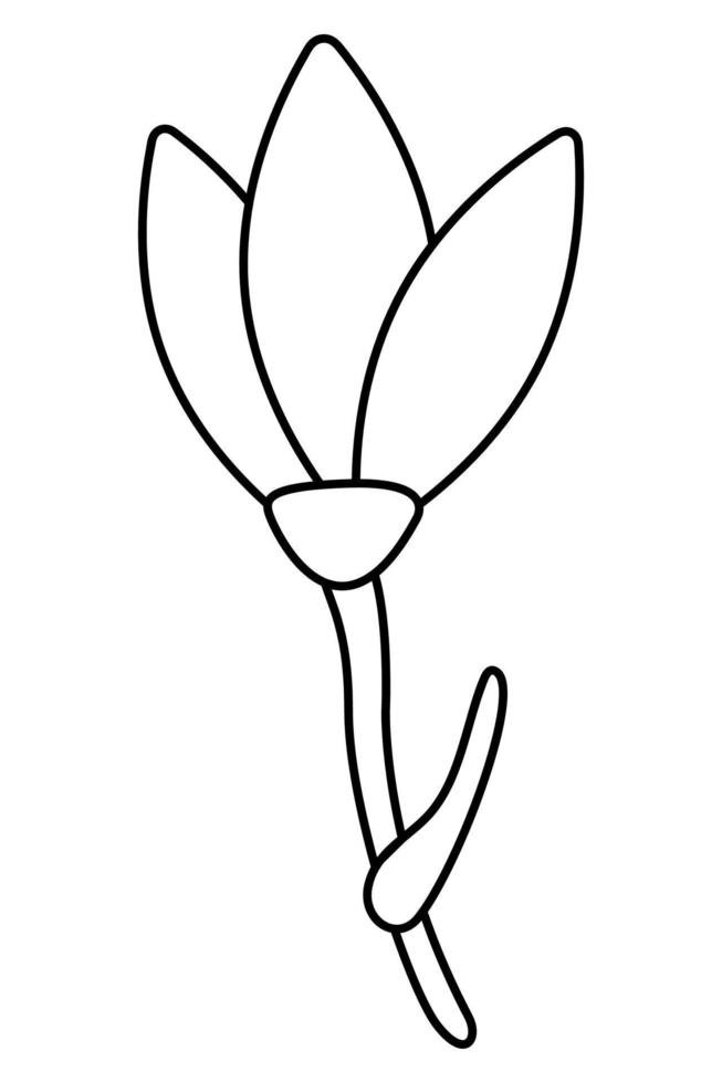 Snowdrop flower doodle. Hand drawn outline vector illustration.