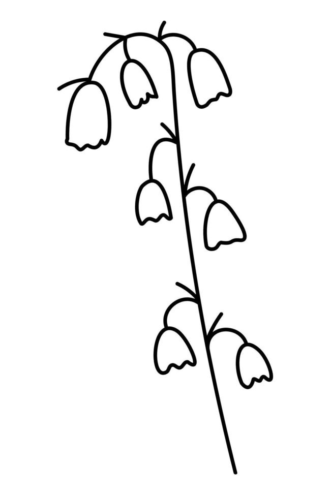 Lily of the Valley's flowers doodle. Hand drawn outline vector illustration.