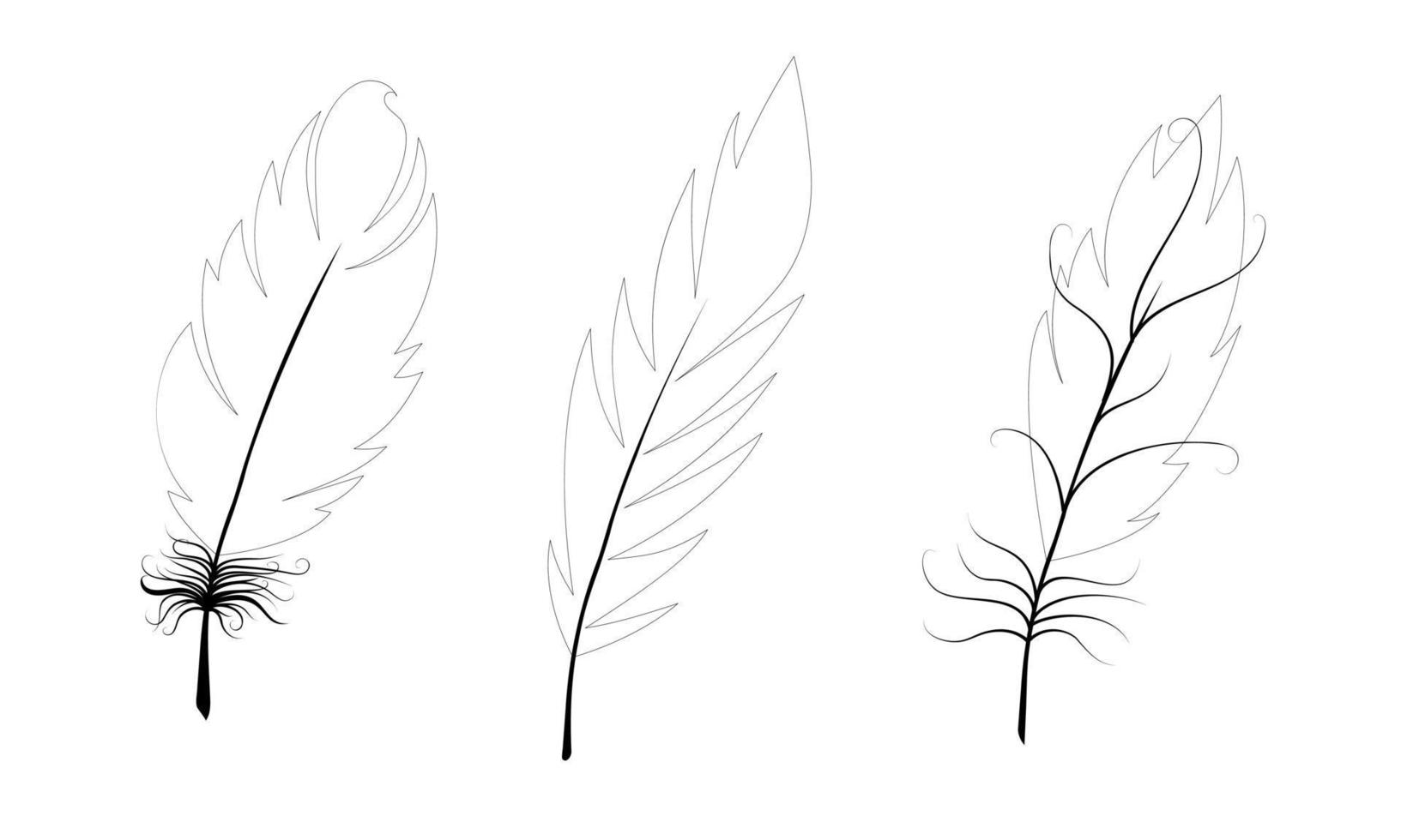 Set of bird feathers. Black feather outlines on white background. Vector illustration.