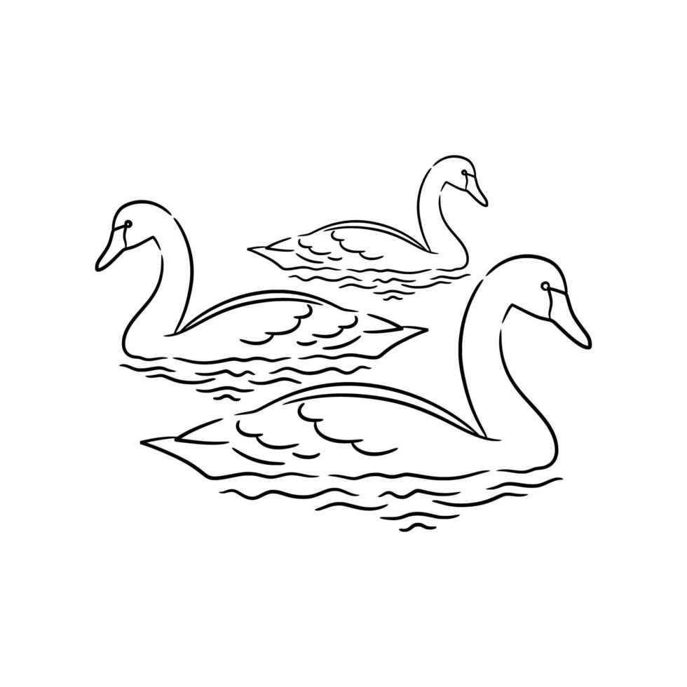 swan line art drawing illustration vector