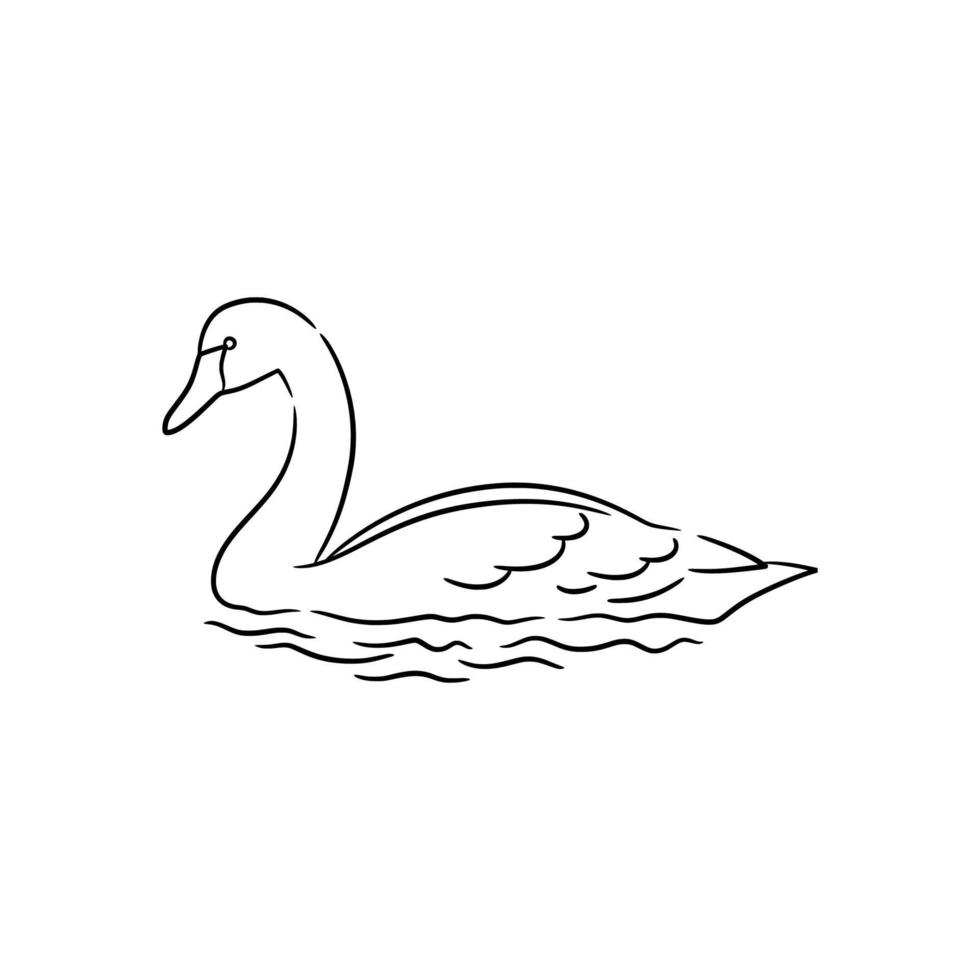 cisne línea arte dibujo ilustración vector