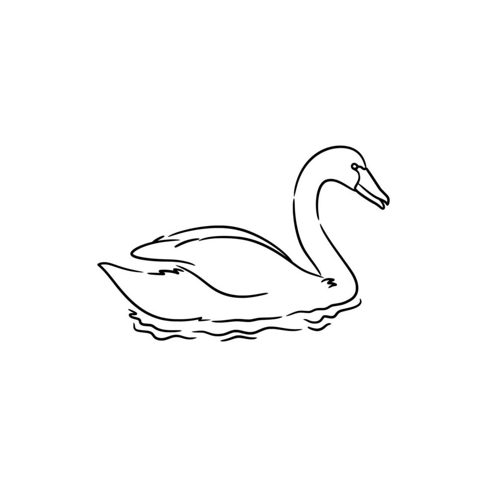 swan line art drawing illustration vector