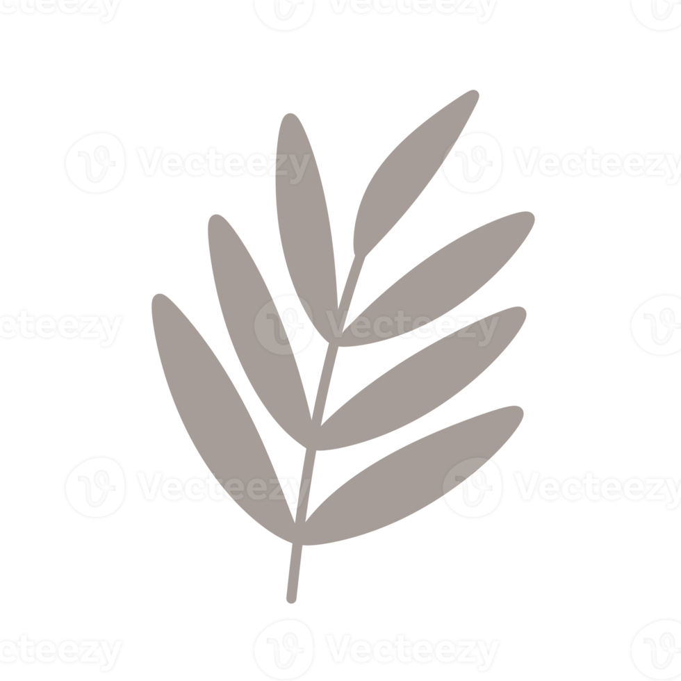 Palm three leaf element icon. png