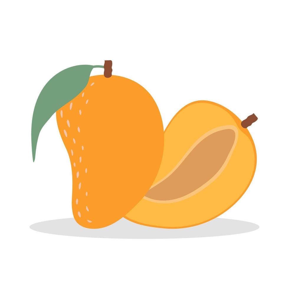 mango maduro y medio mango. aislado sobre fondo blanco. vector