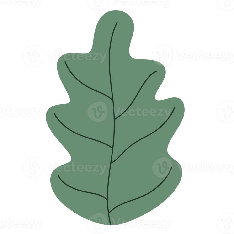 Leaf element icon. png