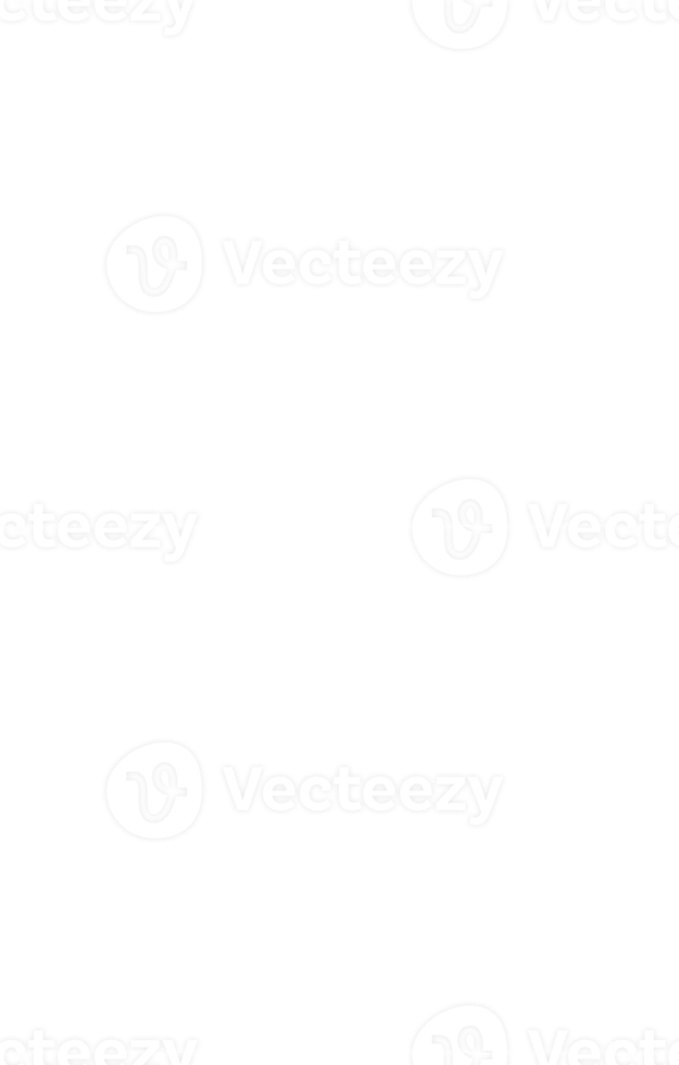 line art tropical leaves. png