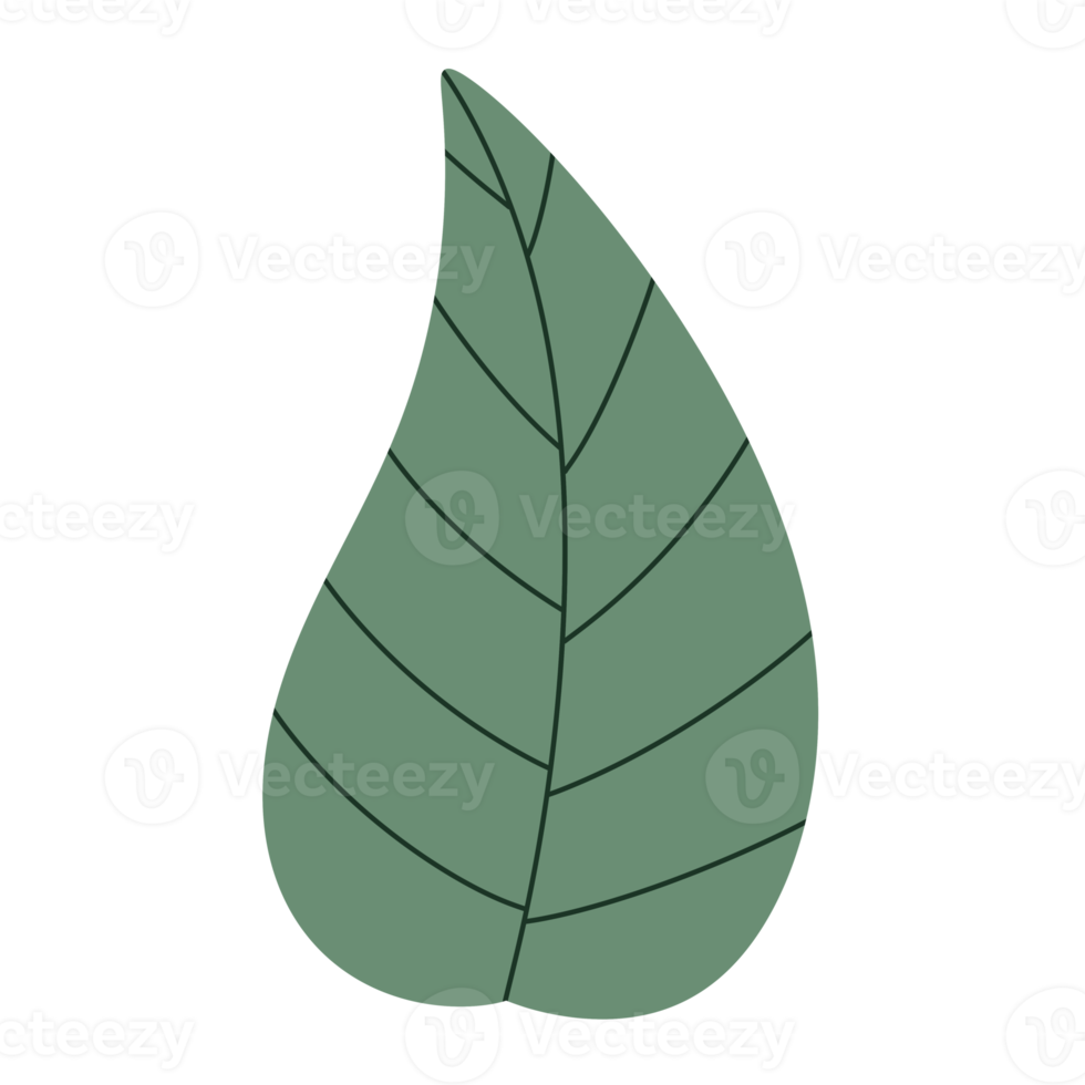 Leaf element icon. png