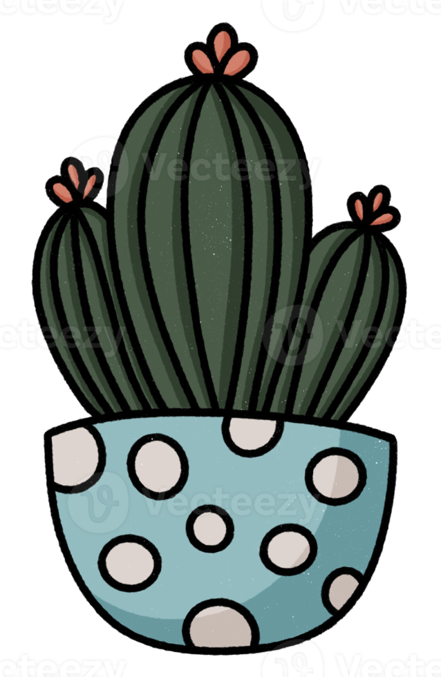 Cute cactus in pot icon. png