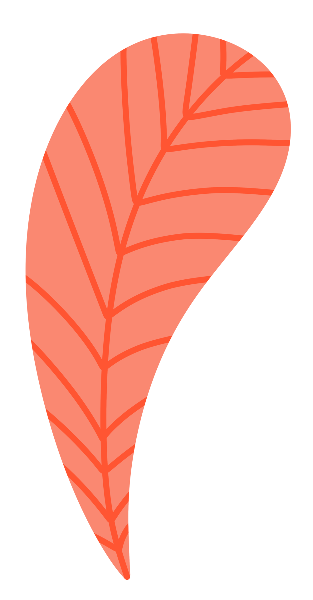 Pastel Orange Tropical Leaves Icon 18818685 PNG pastel-orange-tropical-leaves-icon-18818685-png
