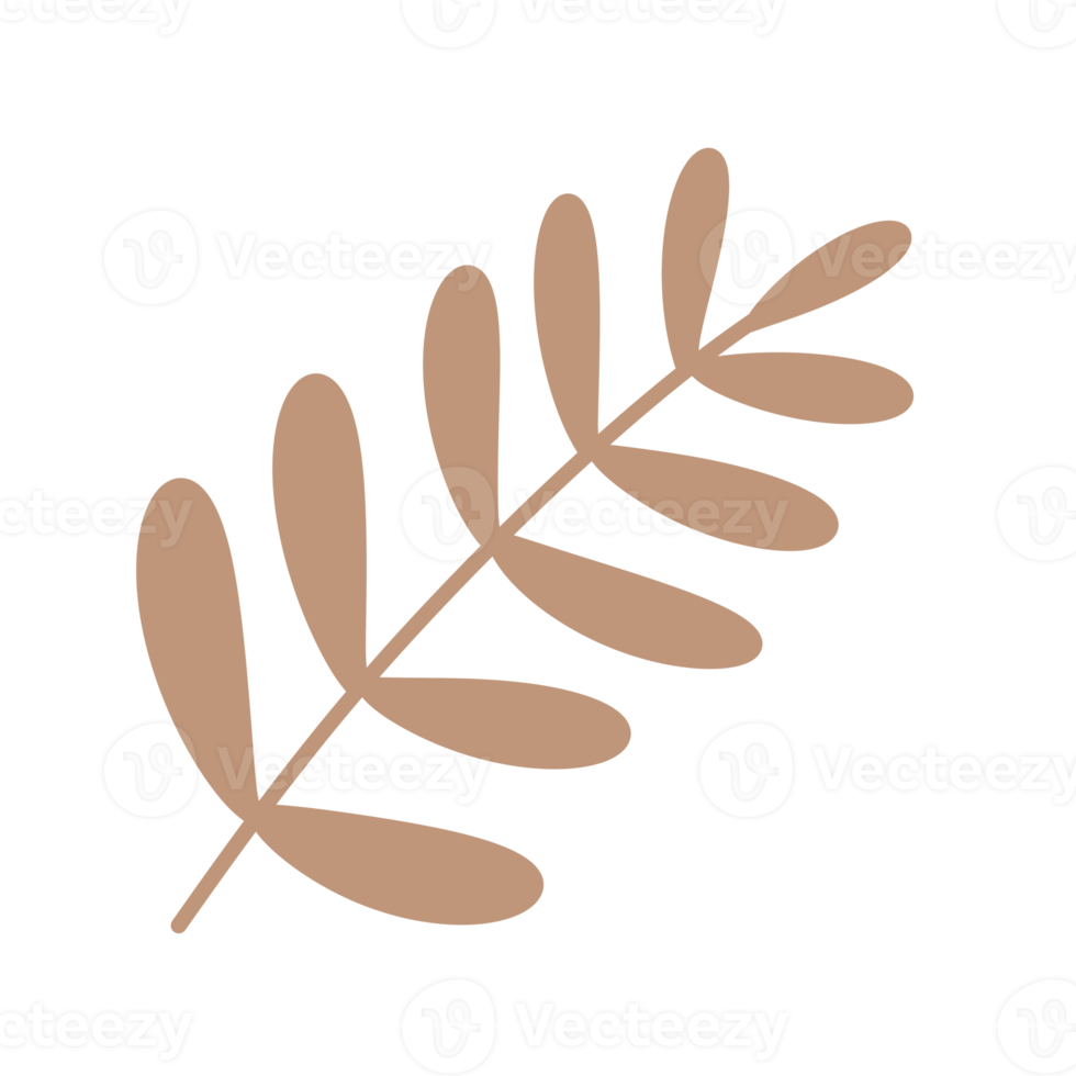 Palm three leaf element icon. png
