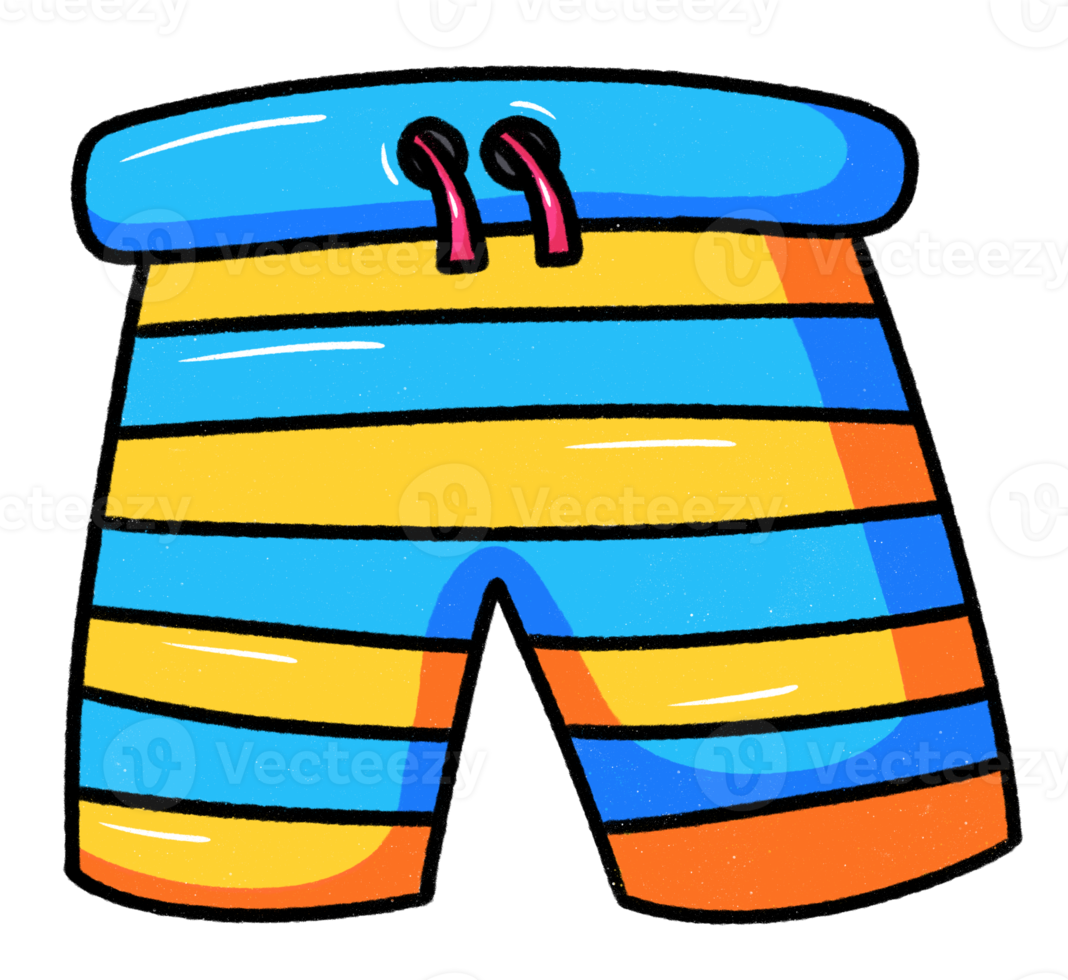 Male swimming shorts icon png