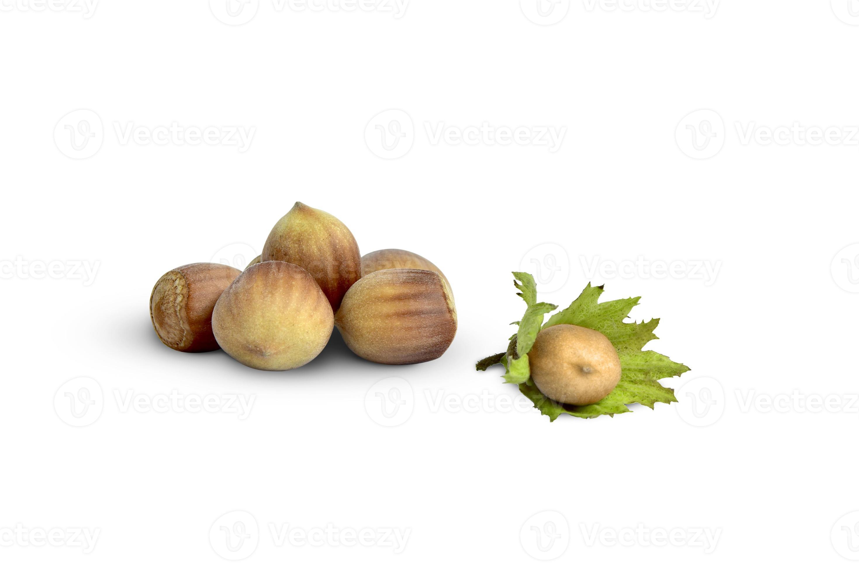 Hazelnuts stacked in a slide and one nut in leaves isolated on a white