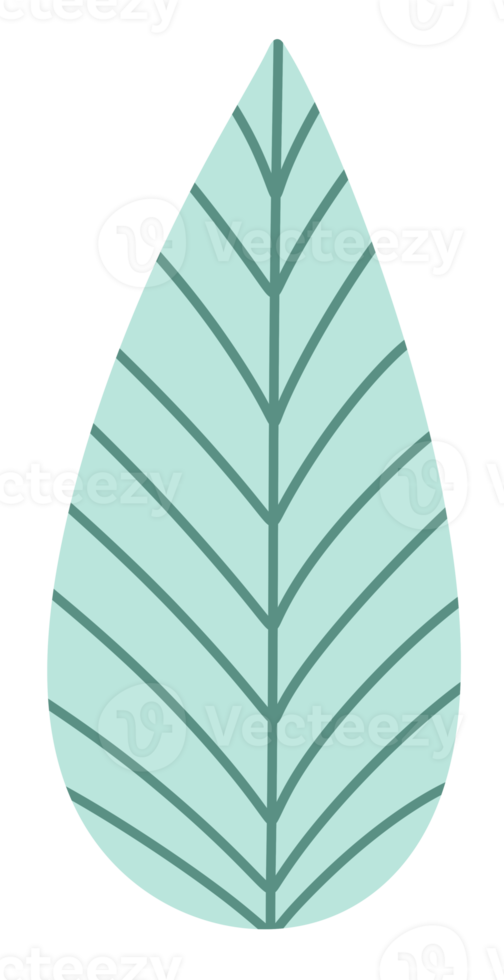 Pastel Green Tropical leaves icon png