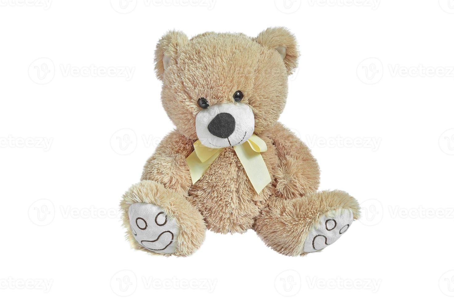 brown shaggy baby bear with a bow on a white background. Isolated teddy bear. Clipart. Design element photo