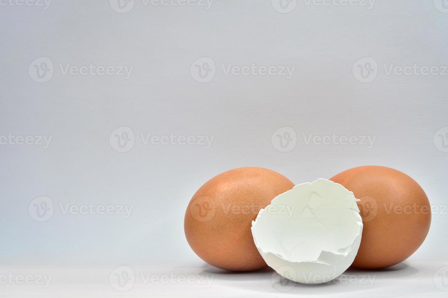 two brown chicken eggs and white shells on a gray background photo
