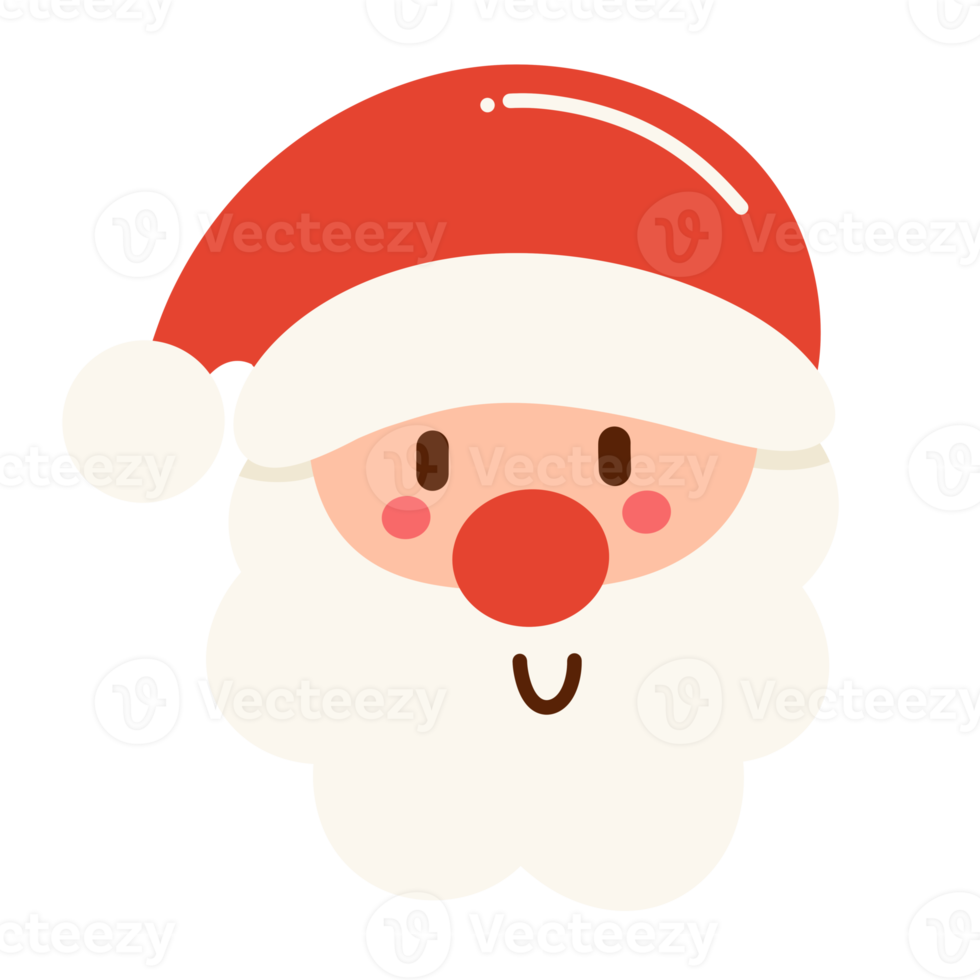 Head Santa claus christmas icon. png