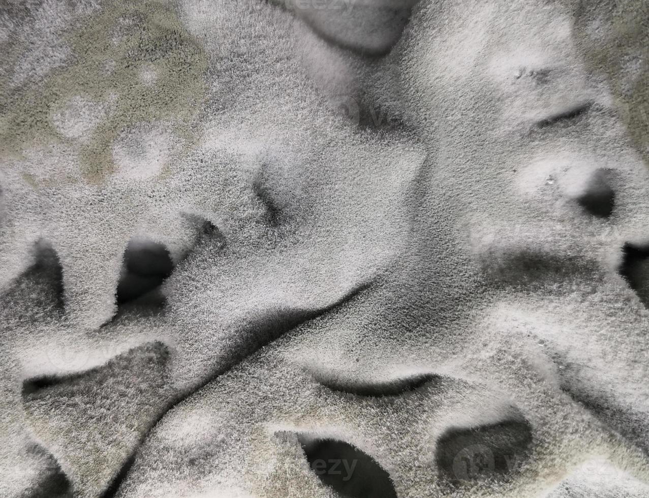 natural mold texture. Fluffy abstract background. selected focus, bluriness,bokeh photo