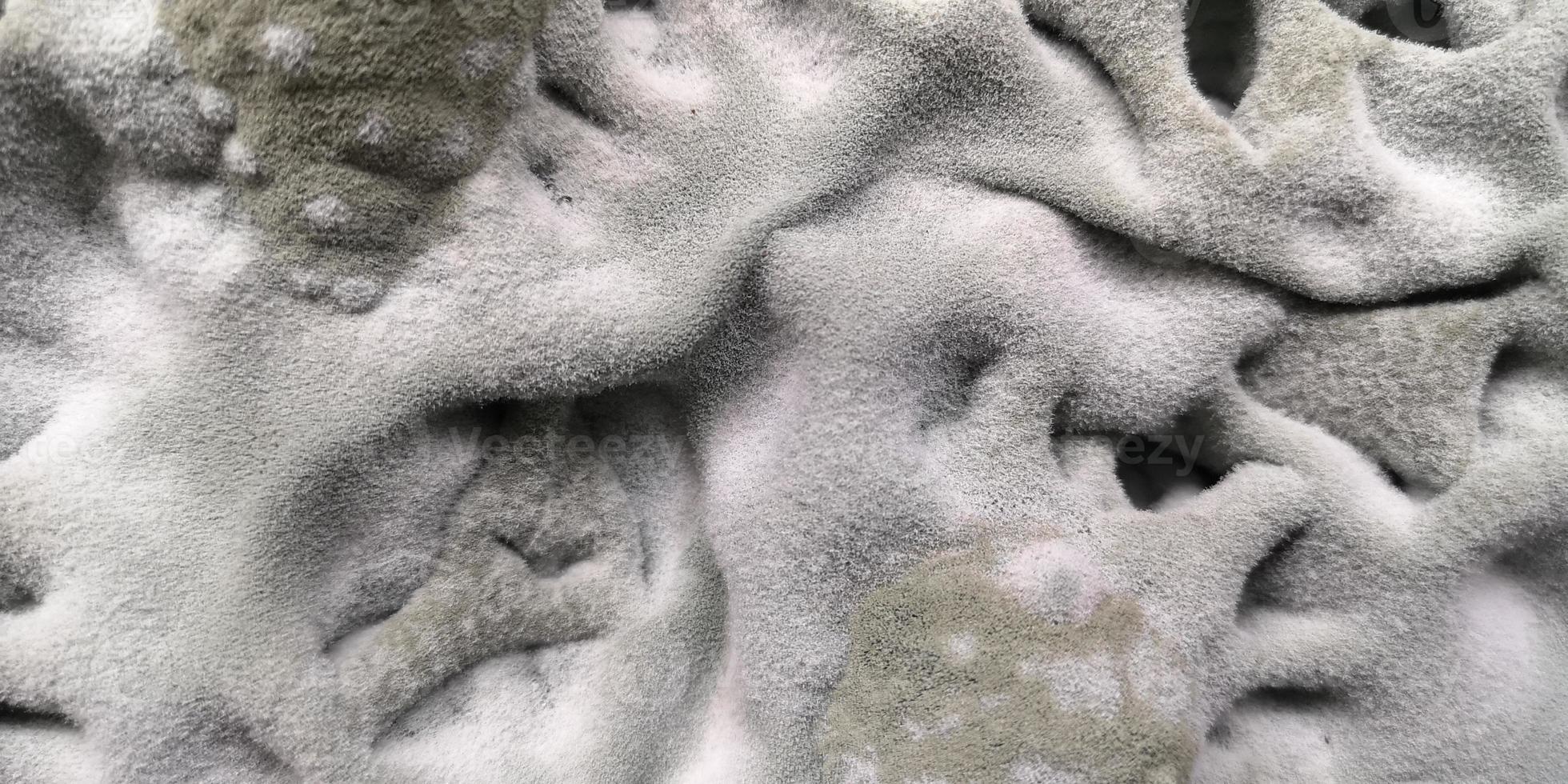 natural mold texture. Fluffy abstract background. selected focus, bluriness,bokeh photo