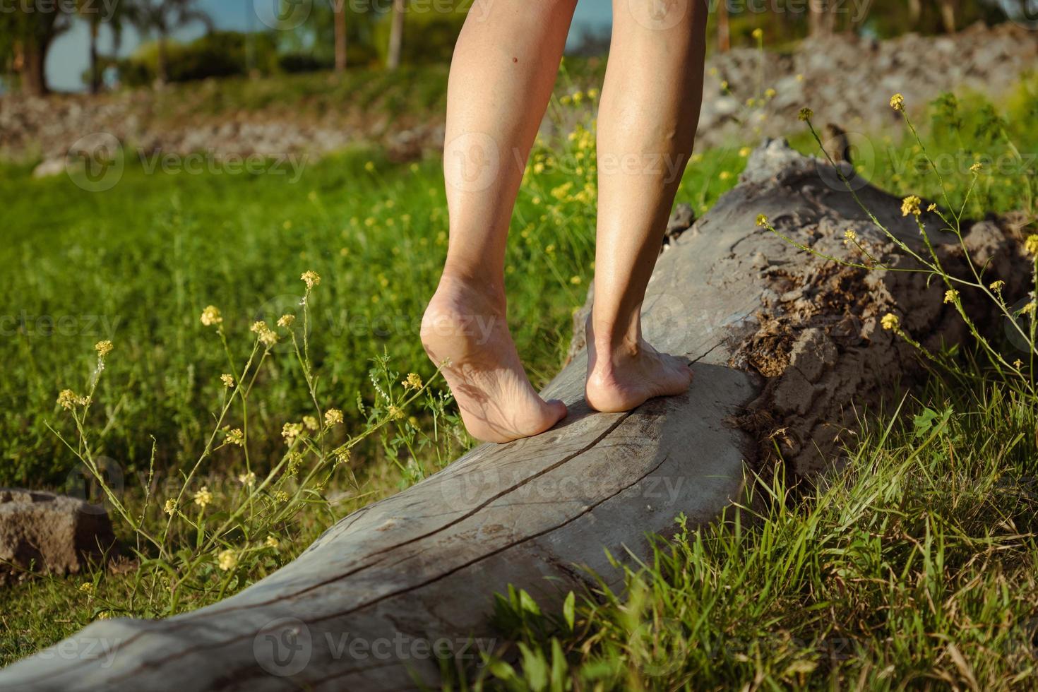 Close-up of a woman's feet balancing on a log in a meadow. photo