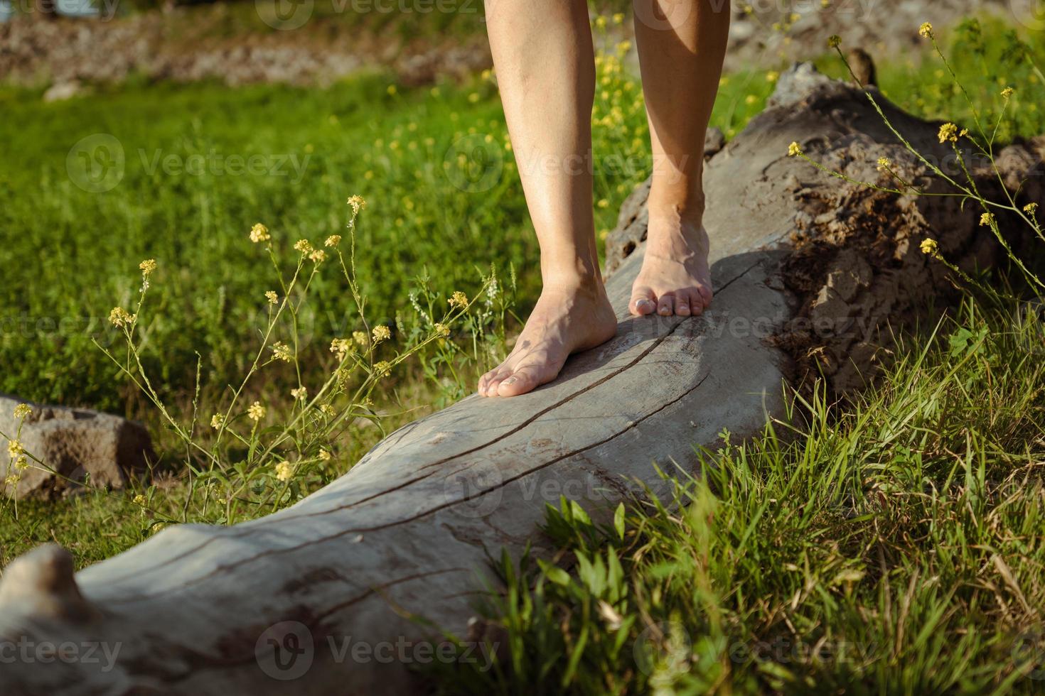 Woman's feet walking on a log photo