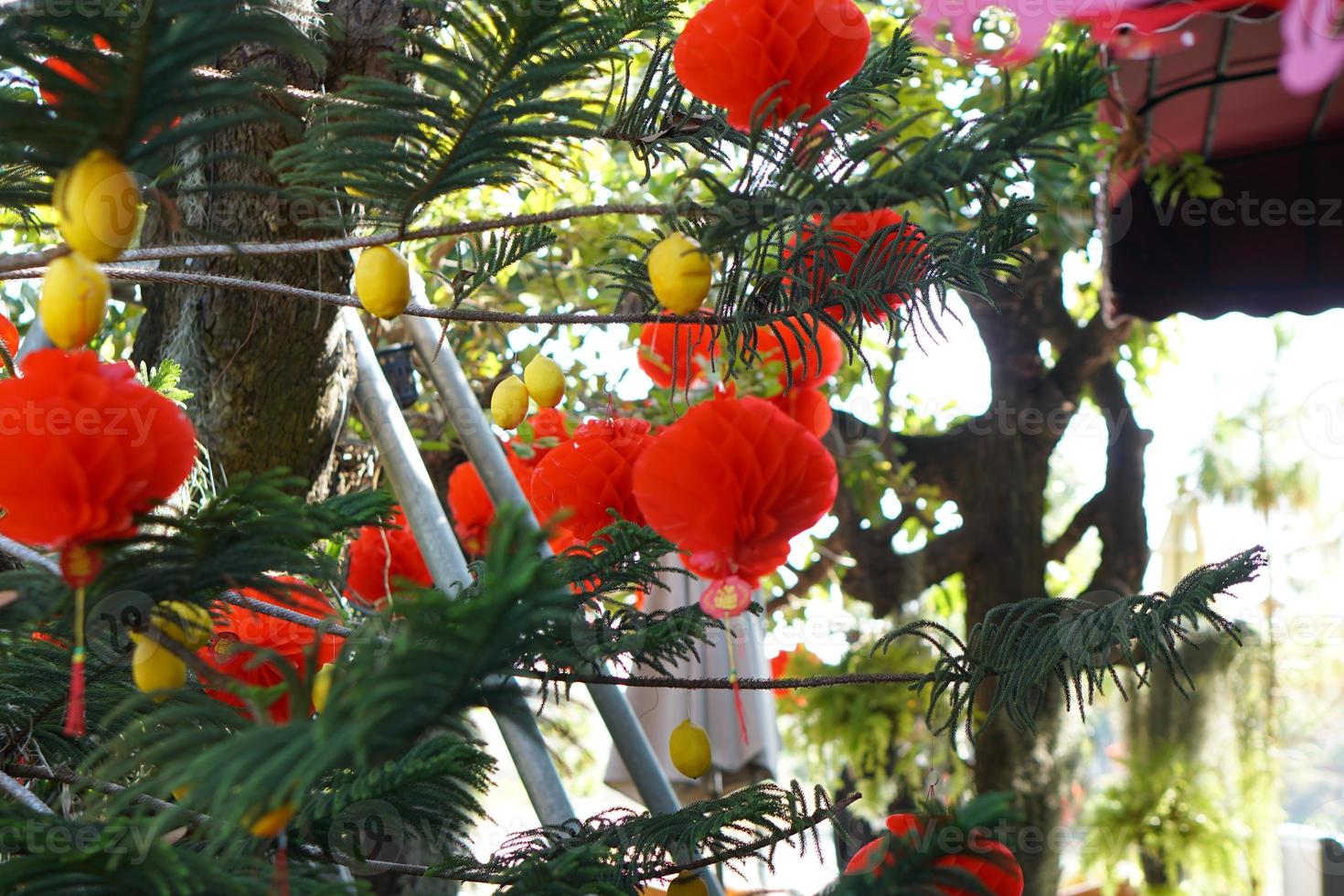 Red lanterns decorate the Chinese New Year tree photo