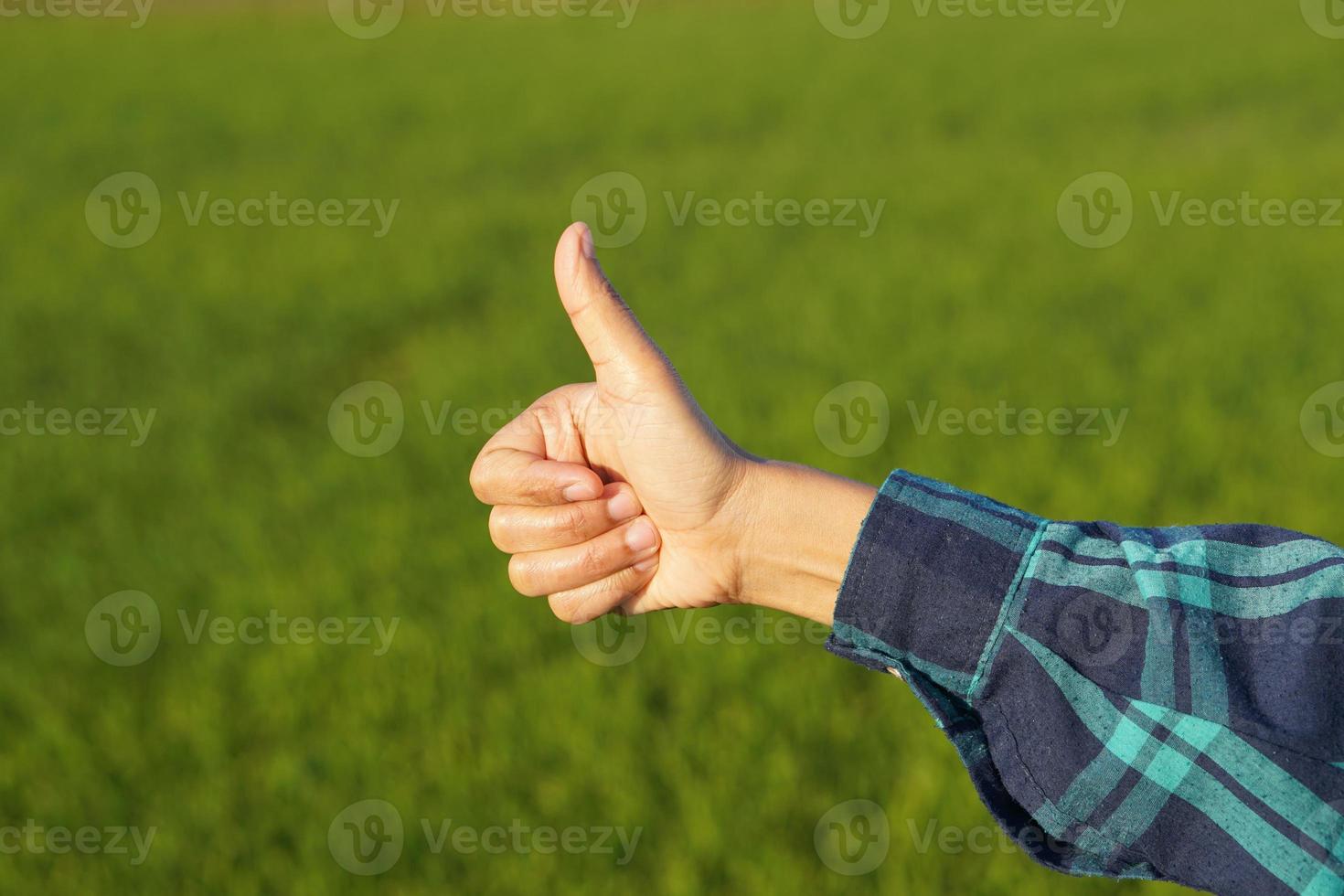 Asian female farmer hand, green rice field background photo