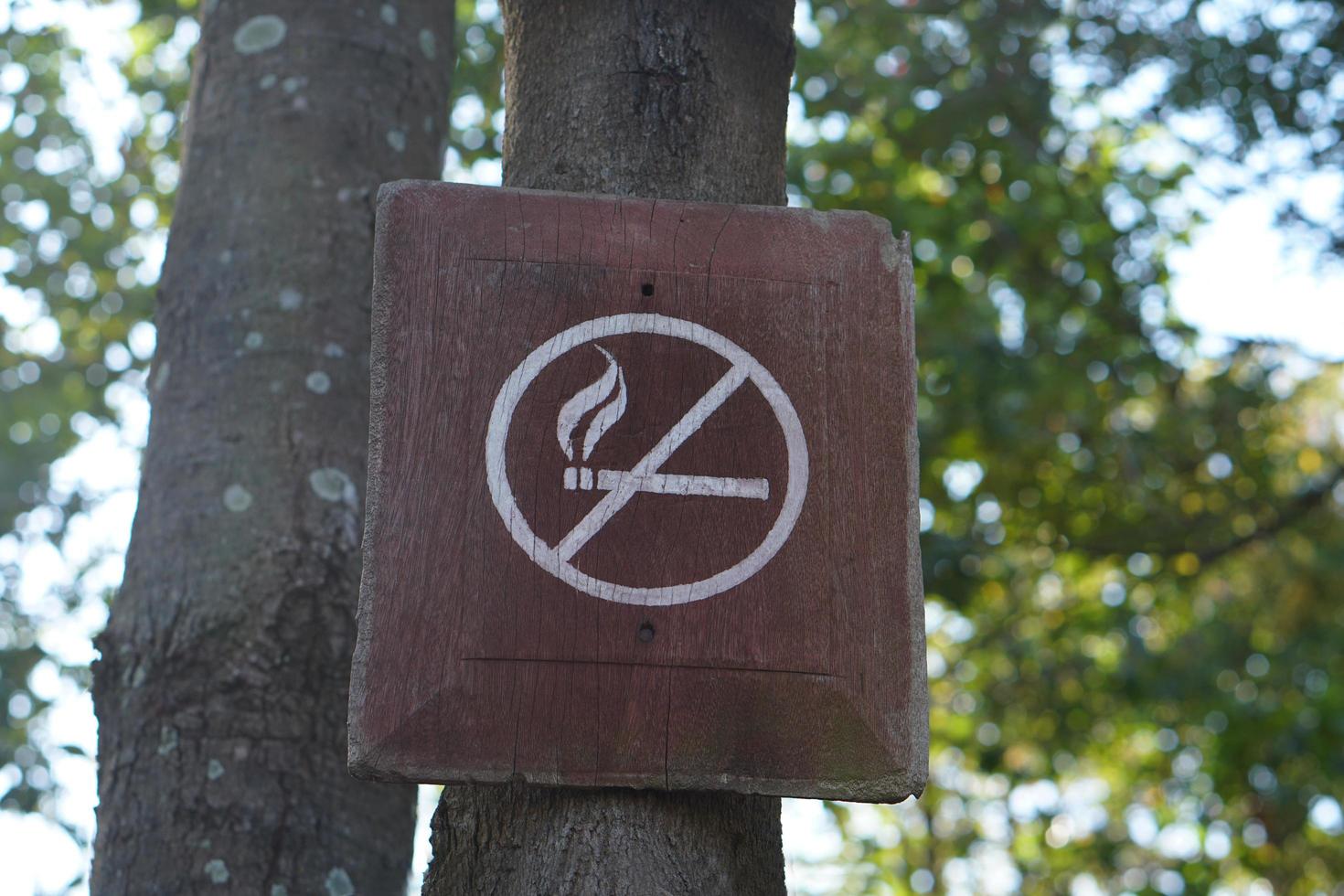 no smoking sign on tree photo