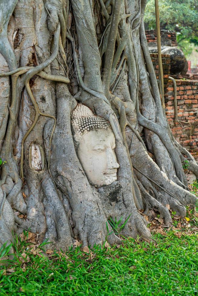 Buddha Head statue with trapped in Bodhi Tree roots at Wat Mahathat photo