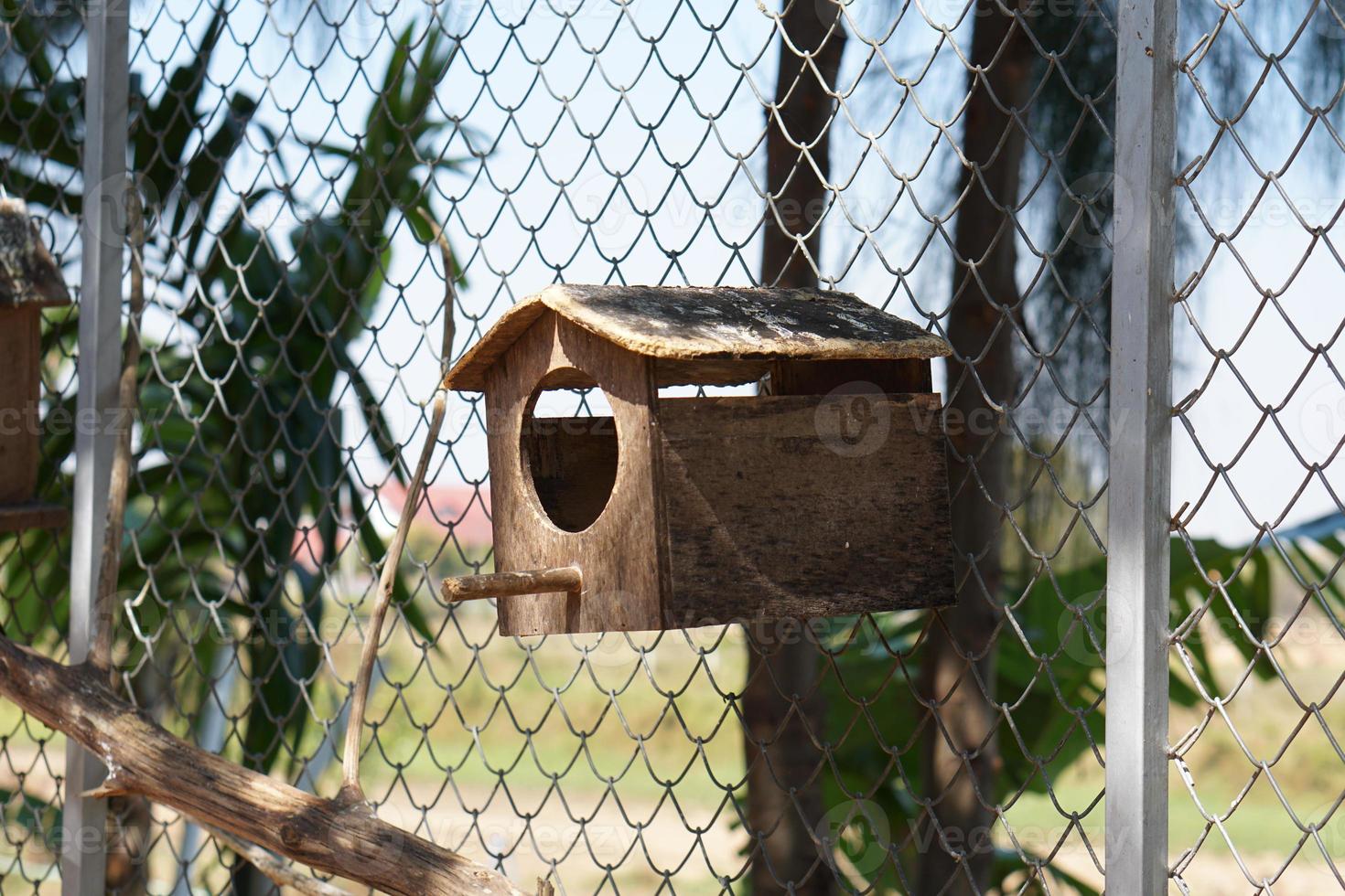 Parrot's house in the park photo