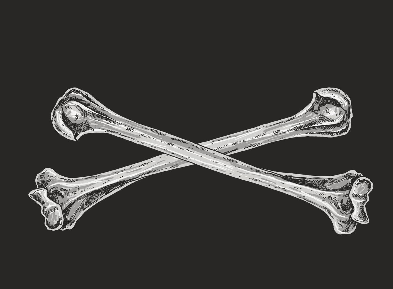 Skull and Crossbones Drawing Illustration vector