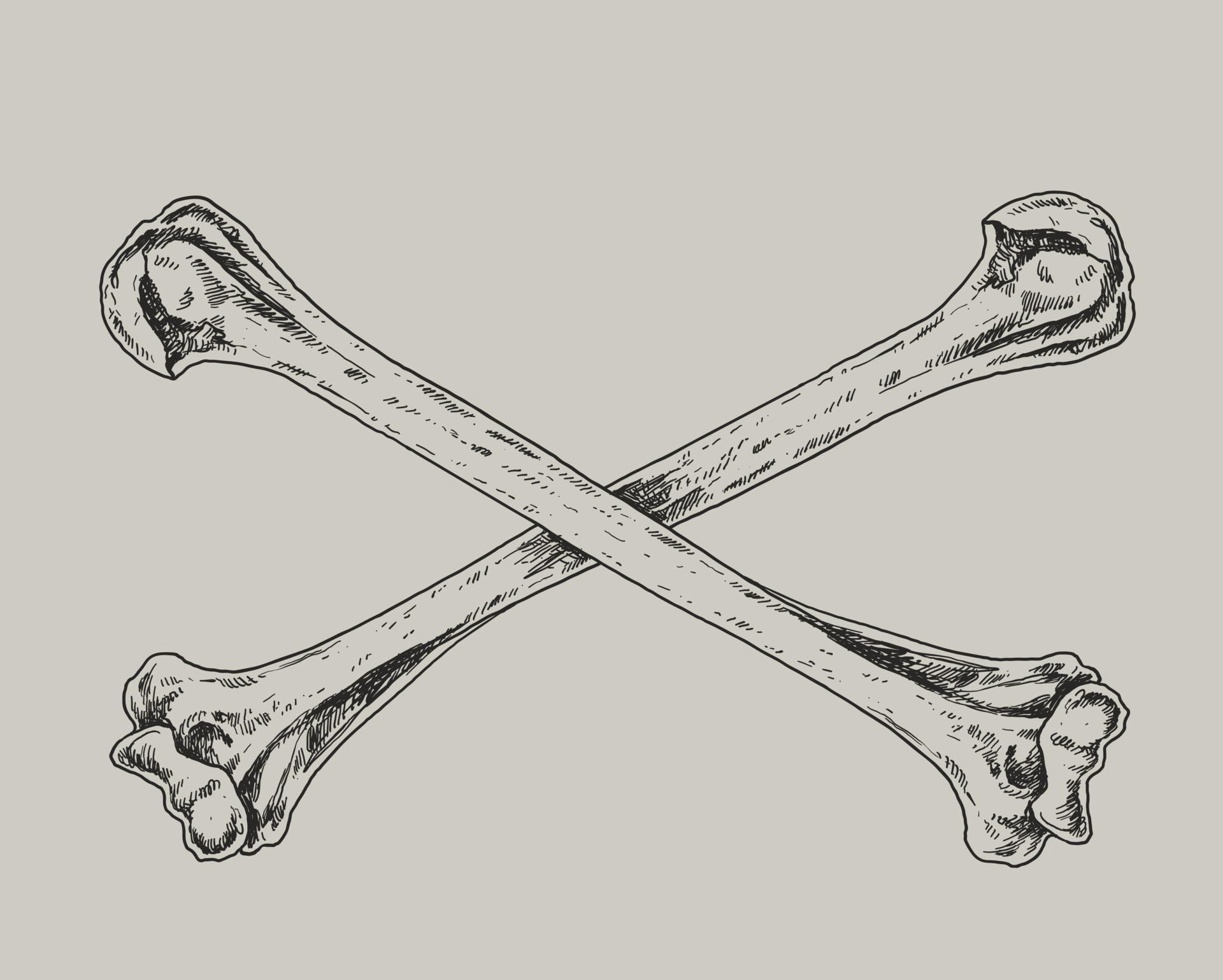 Skull And Crossbones Drawing Illustration 18822859 Vector Art At Vecteezy skull-and-crossbones-drawing-illustration-18822859-vector-art-at-vecteezy