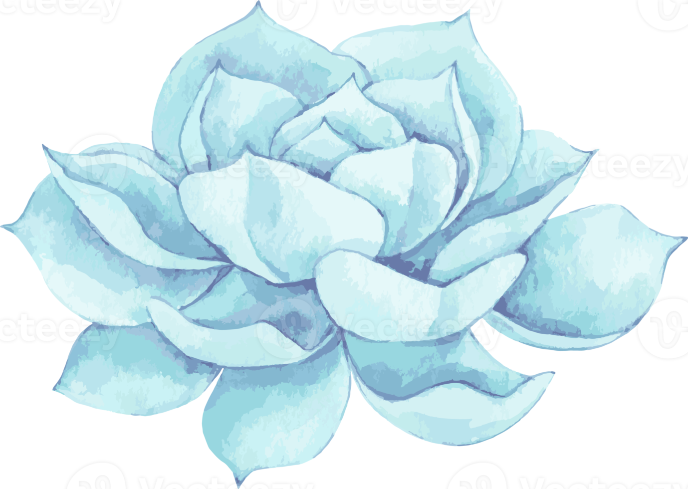 aquarelle fleur illustration vintage png