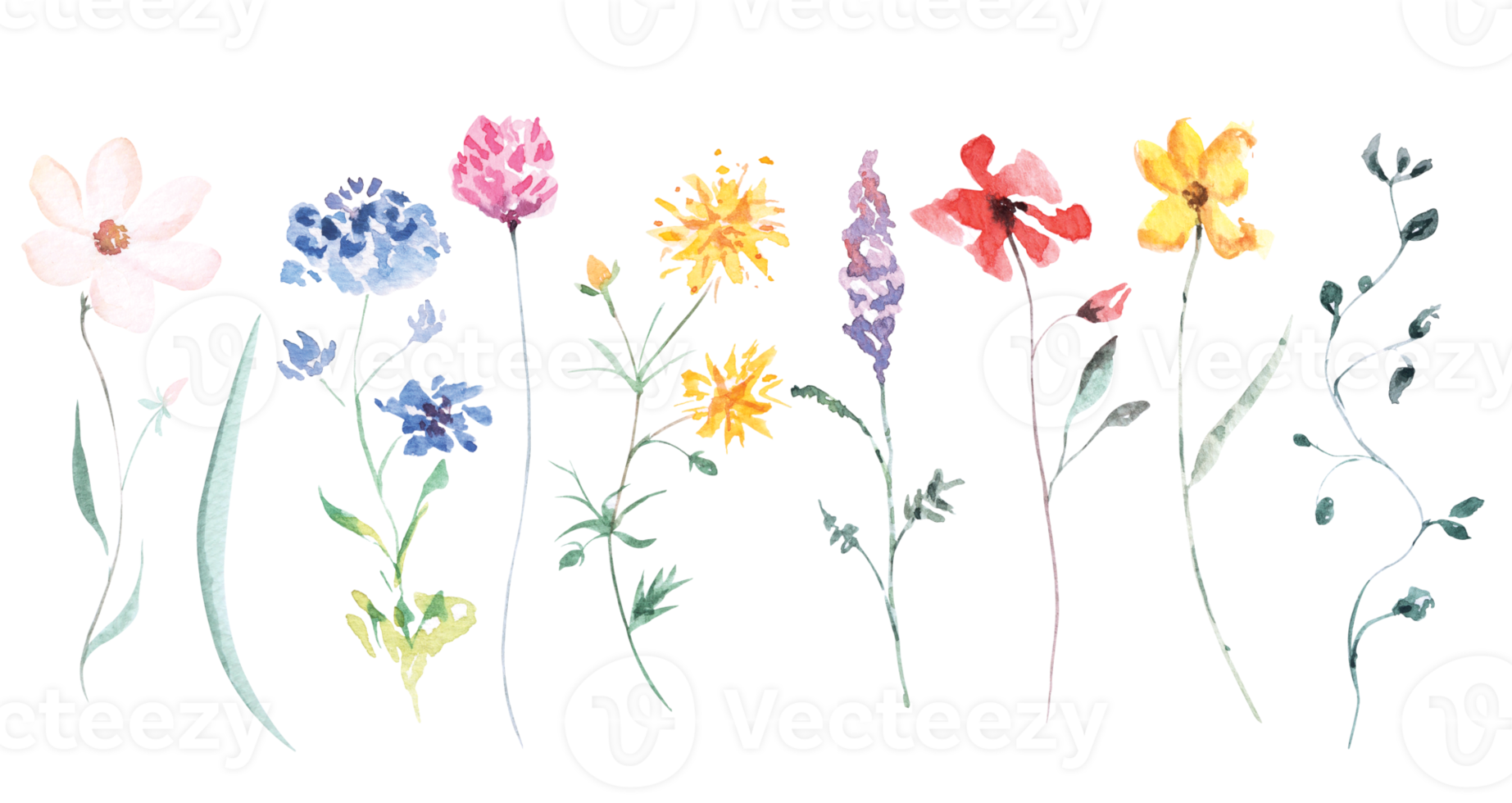 Watercolor Meadow And Wild Flower Botanical Blossom Floral Elements watercolor-meadow-and-wild-flower-botanical-blossom-floral-elements