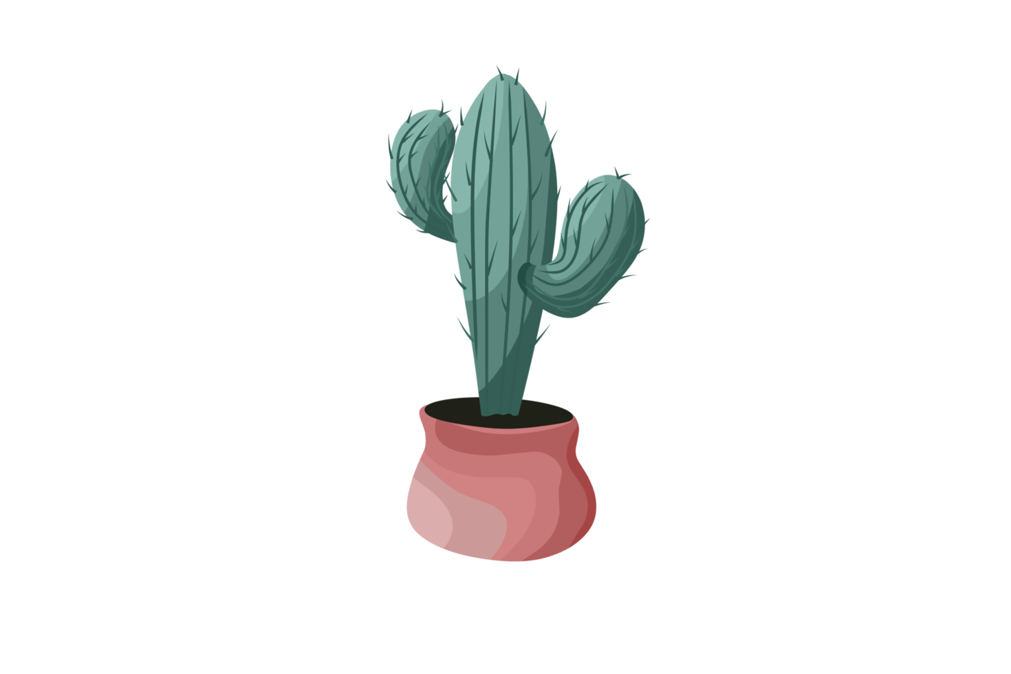 bellissimo piatto cactus illustrazione png