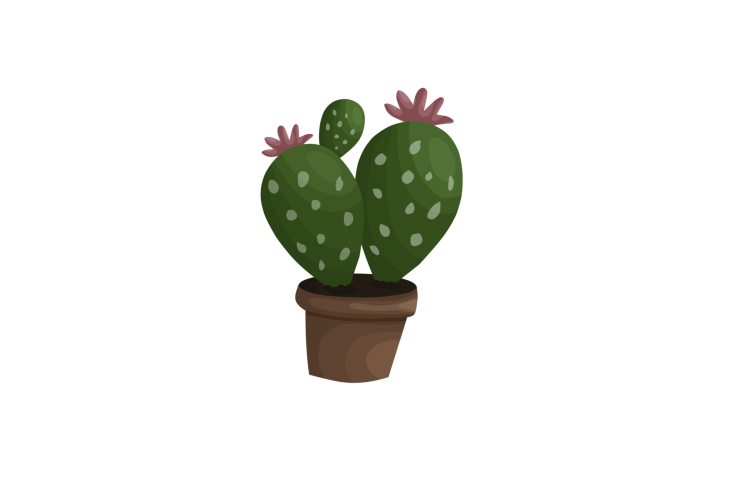 beautiful cactus on a pot illustration png