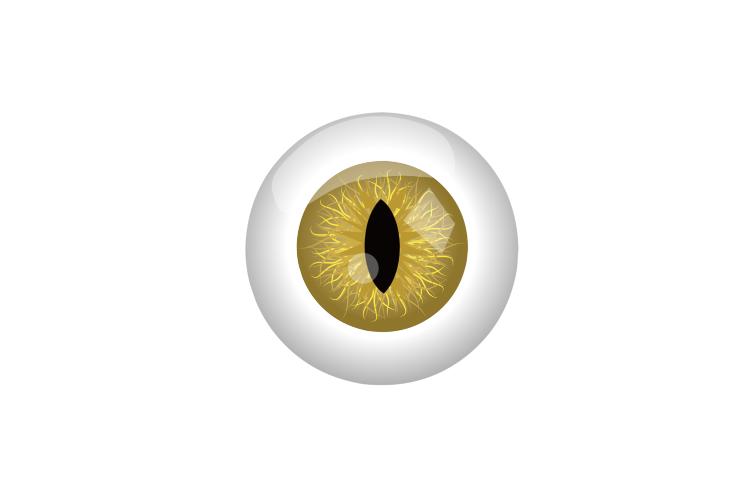 globo ocular ilustración plana png