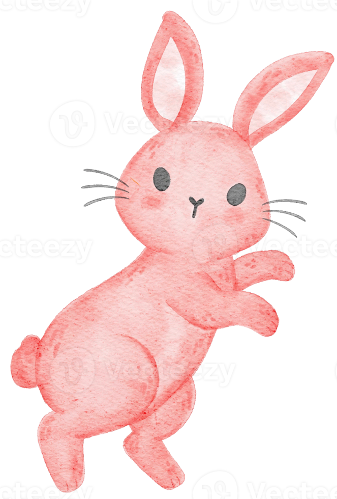 cute watercolour pink bunny rabbit cartoon hand drawing illustration png