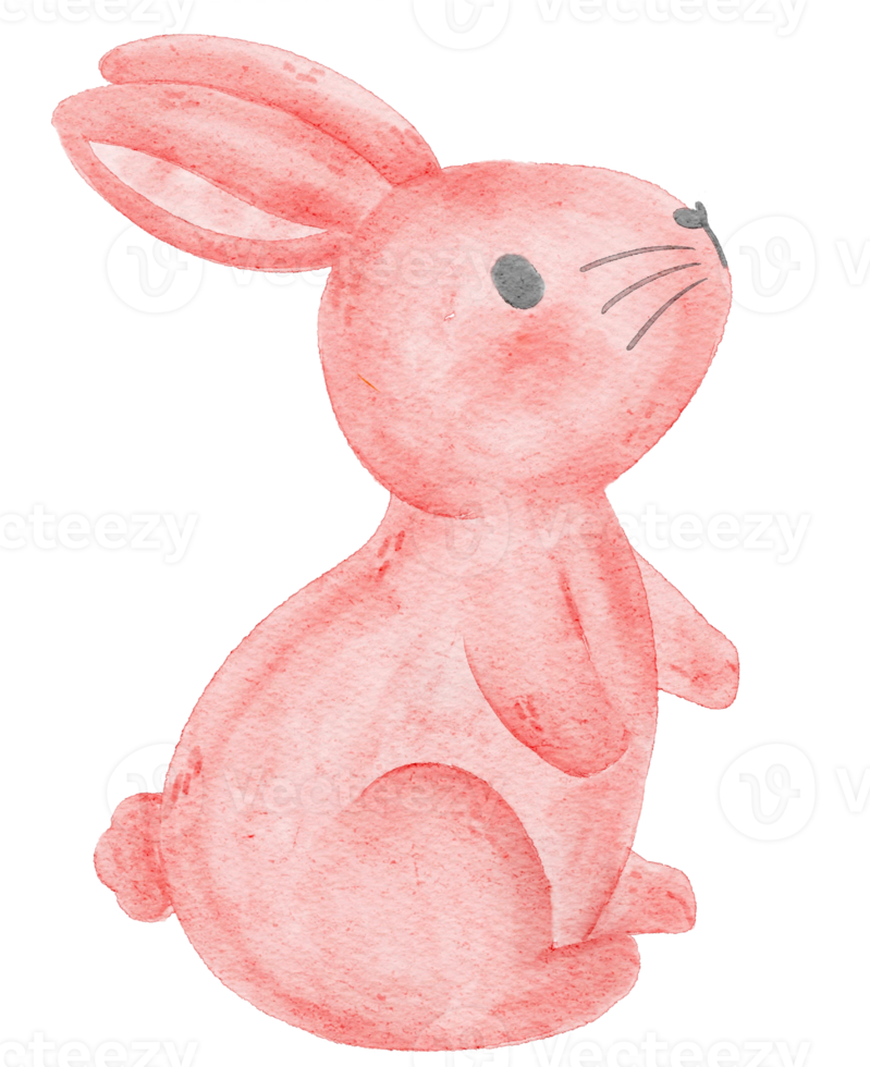 cute watercolour pink bunny rabbit cartoon hand drawing illustration png