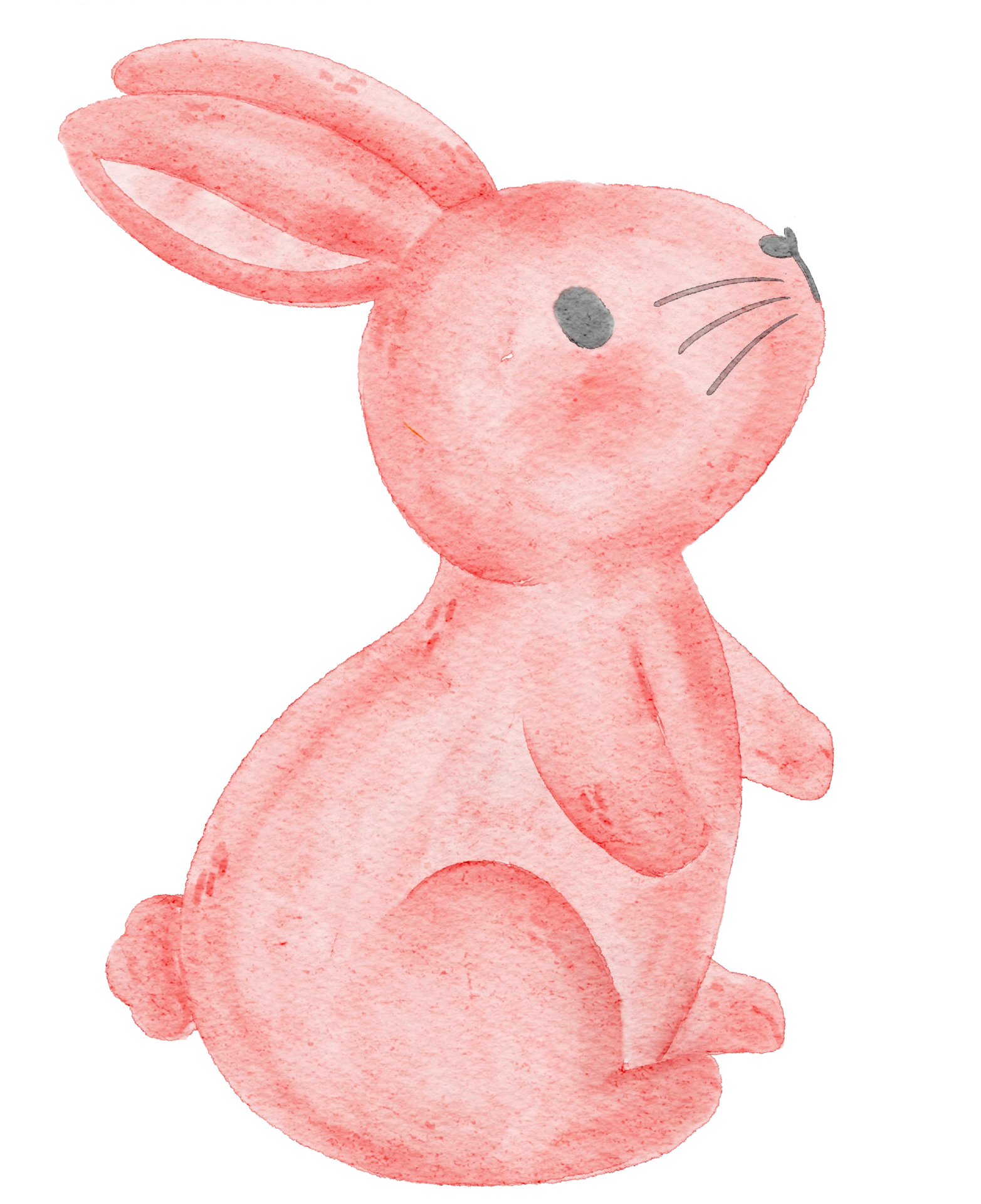 How to Draw Bunny Rabbits for Easter with Easy Step by Step Drawing Lesson   How to Draw Step by Step Drawing Tutorials