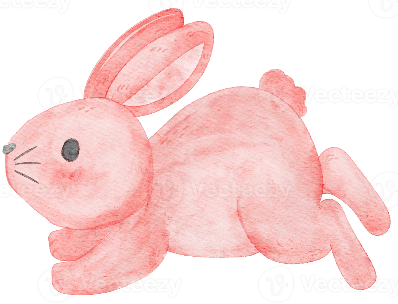 cute watercolour pink bunny rabbit cartoon hand drawing illustration png