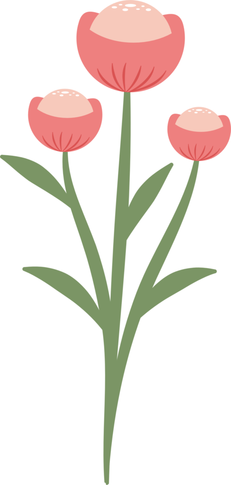 Spring flower element png