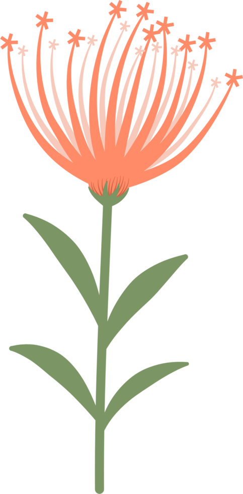 elemento de flor de primavera png