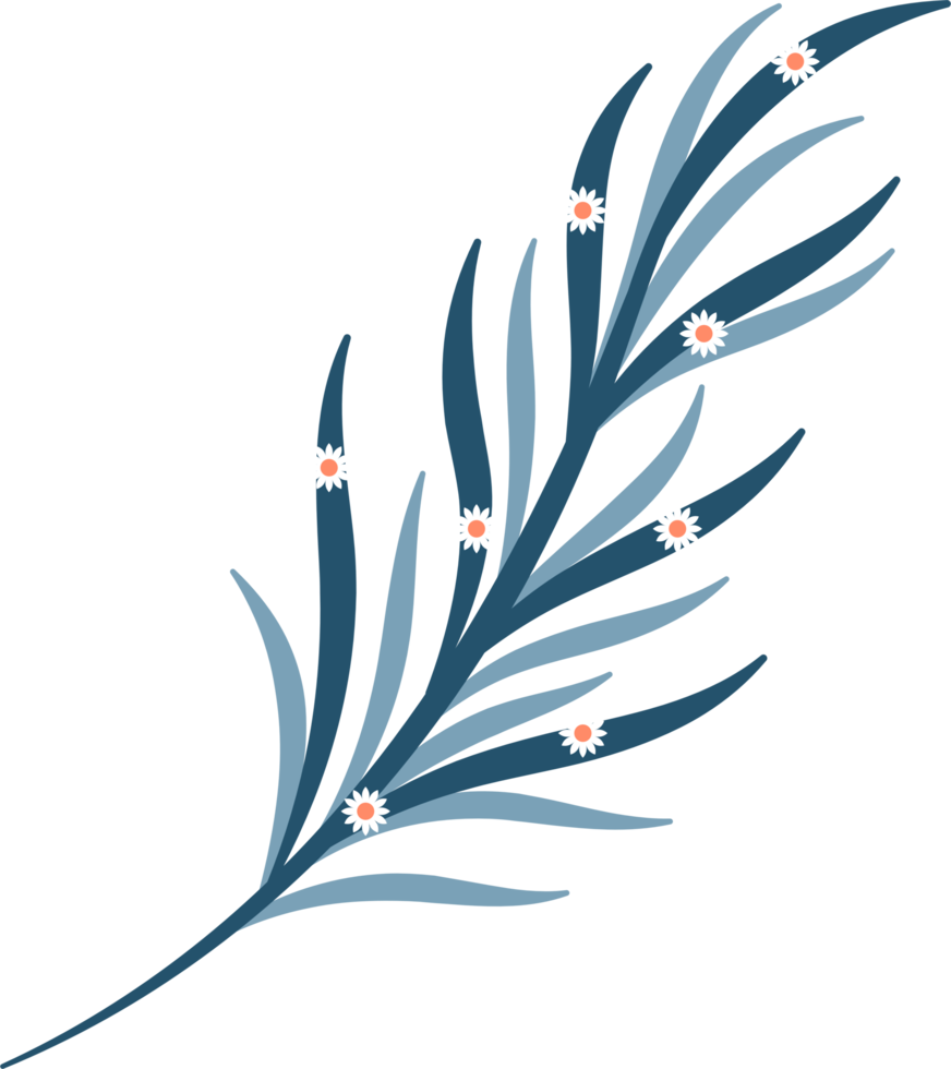 Spring flower element png