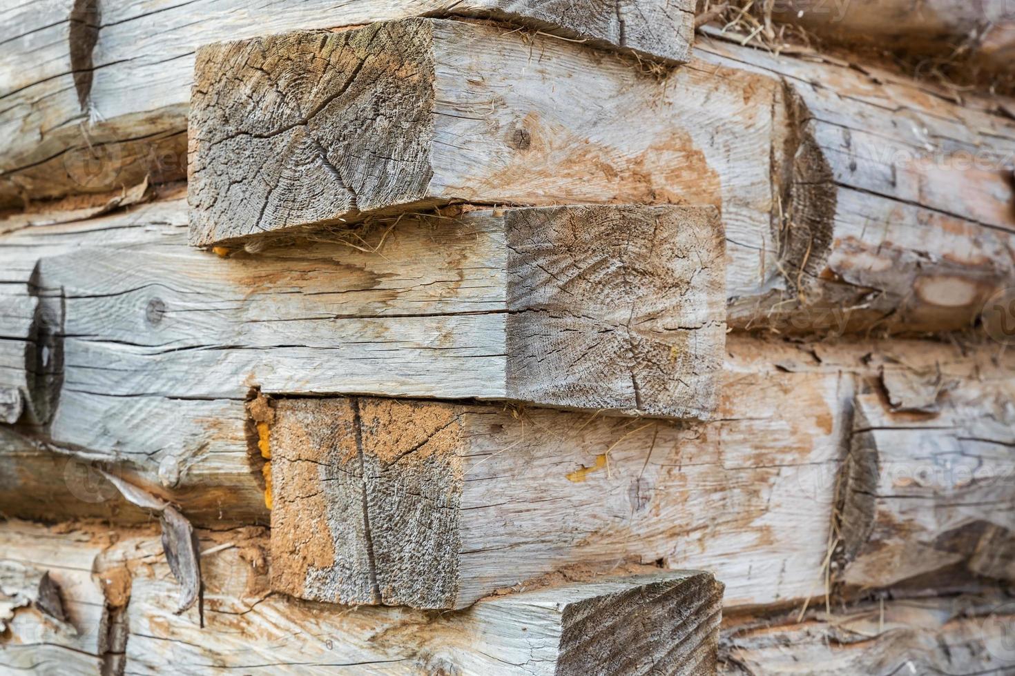 Wooden wall of logs. Corner of a log house photo