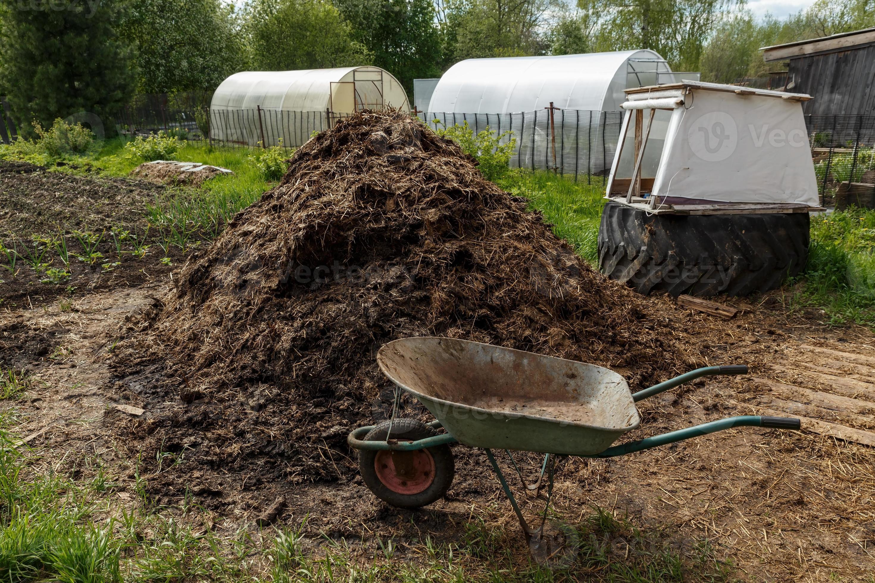Cow 2024 dung fertilizer