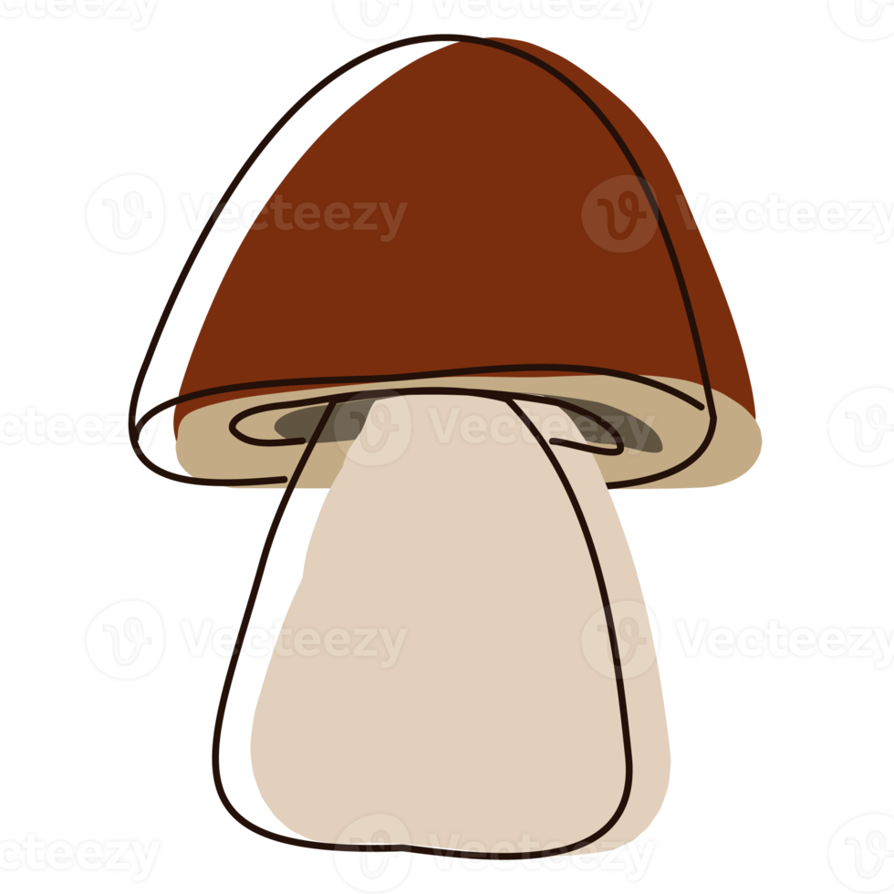 porcini fungo nel schema. commestibile biologico funghi. tartufo Marrone cap. foresta selvaggio funghi tipi. colorato png illustrazione.