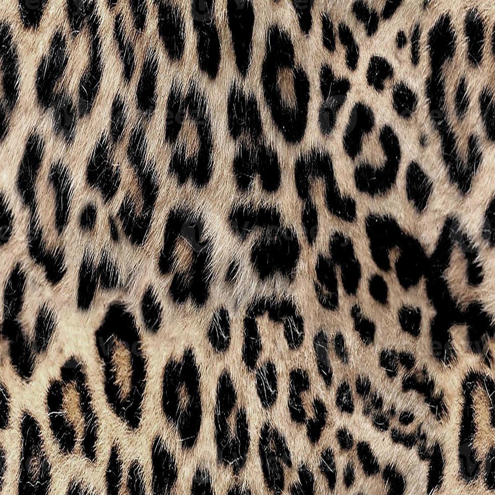 Seamless leopard pattern, leopard skin, animal print. photo