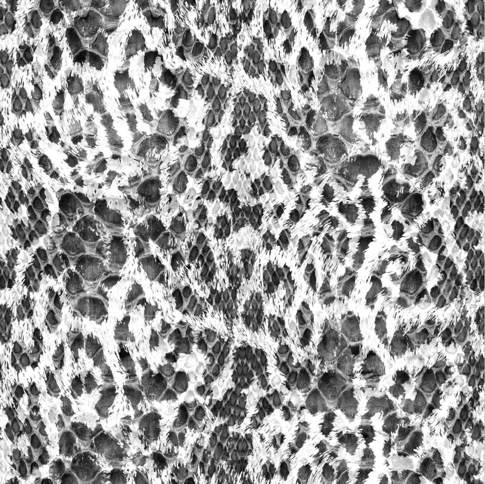 Seamless leopard pattern, leopard skin, animal print. photo